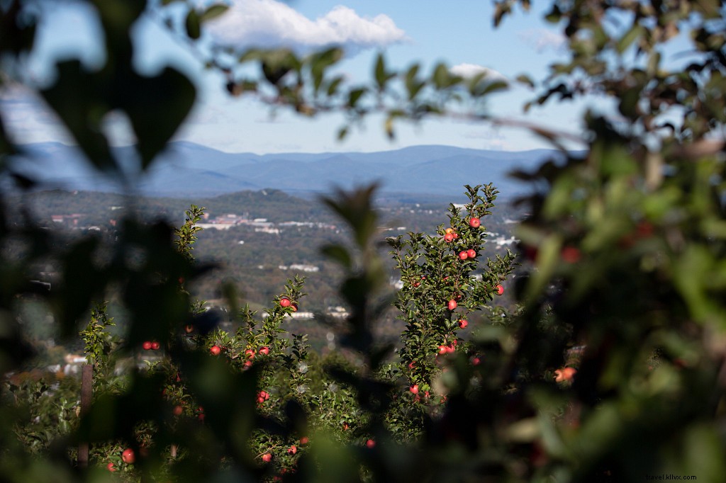 Unmissable Mountain Destinations in Virginia: Your Ultimate Guide