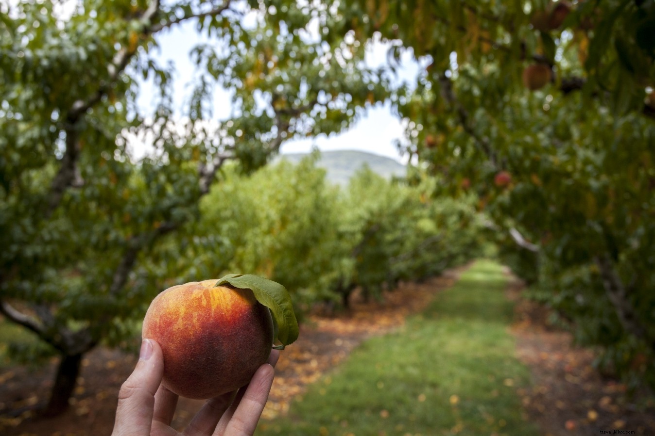 Unmissable Mountain Destinations in Virginia: Your Ultimate Guide