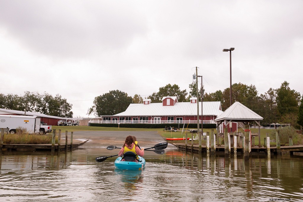 Top Virginia Camping Destinations for Fall Foliage and Outdoor Adventures