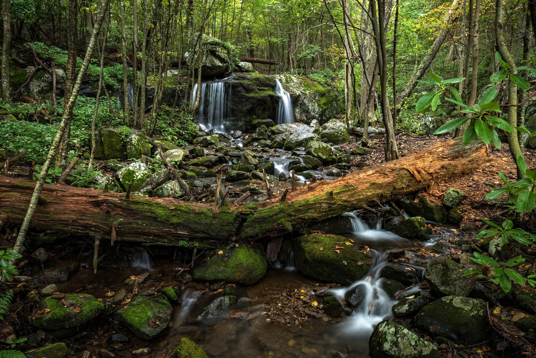 Top Virginia Camping Destinations for Fall Foliage and Outdoor Adventures