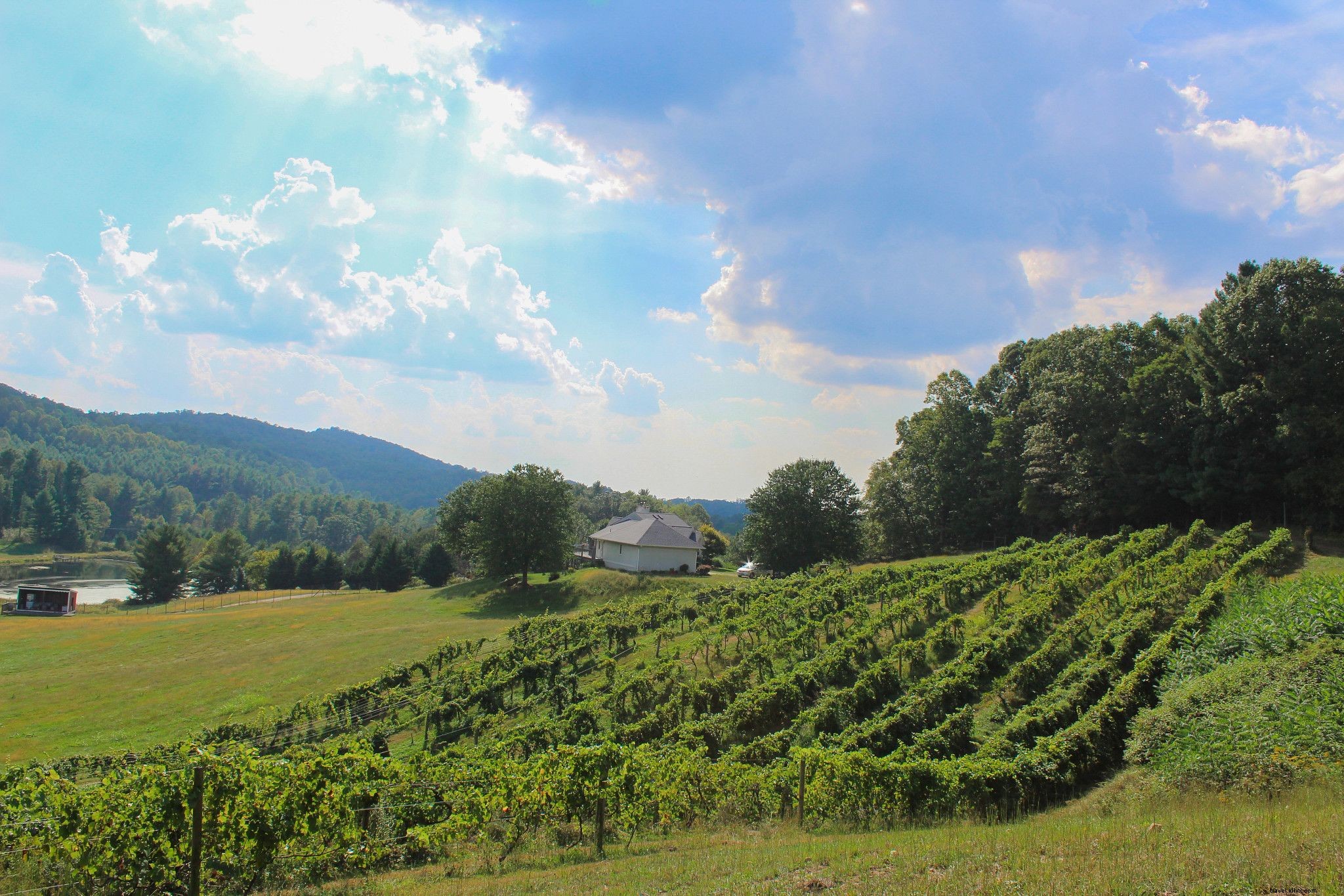 Ultimate Guide to Virginia s Blue Ridge Parkway: Scenic Road Trip Itinerary