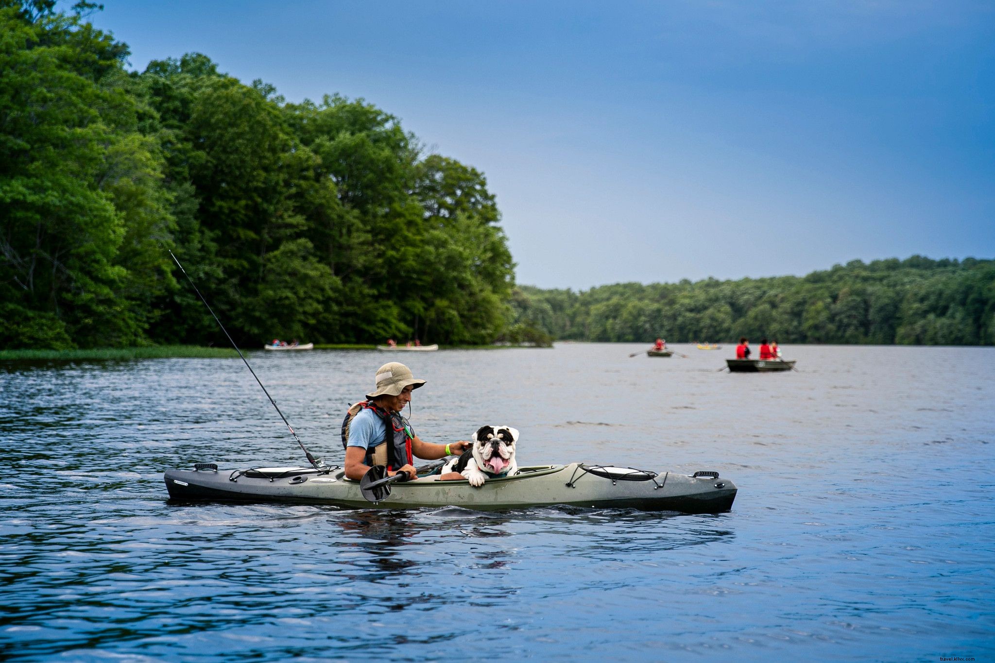 Top Family-Friendly Outdoor Adventures in Northern Virginia: Rivers, Farms, Trails & More