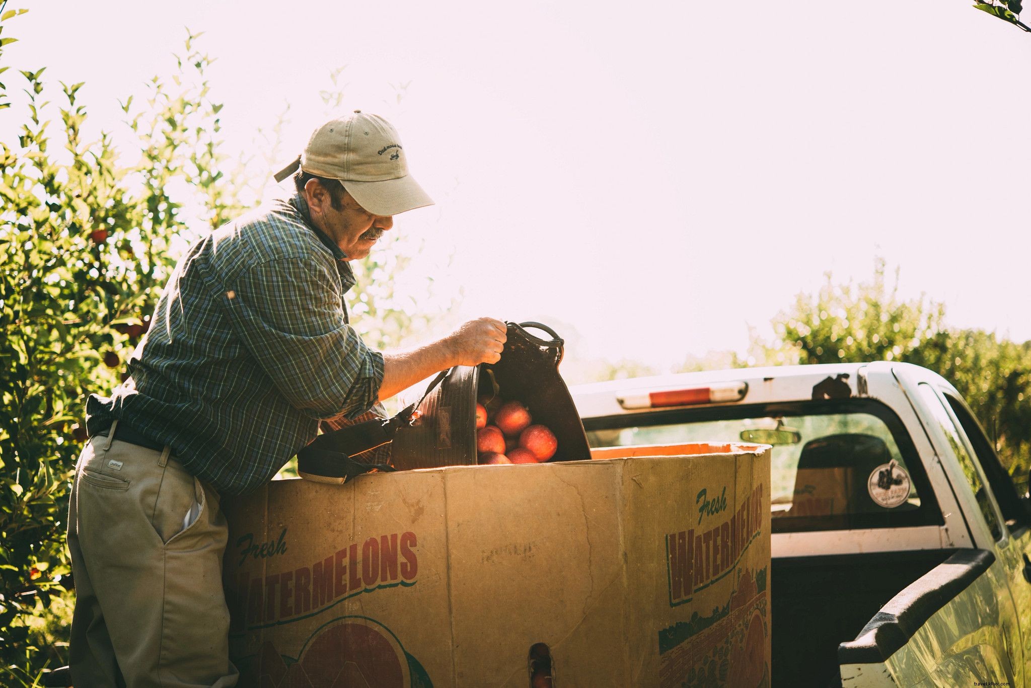 Top Family-Friendly Outdoor Adventures in Northern Virginia: Rivers, Farms, Trails & More