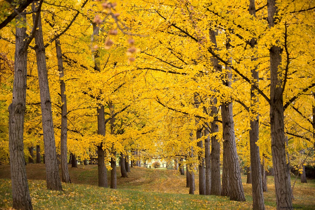 WanderLove: Scenic Northern Virginia Road Trip from Washington, D.C. to Culpeper