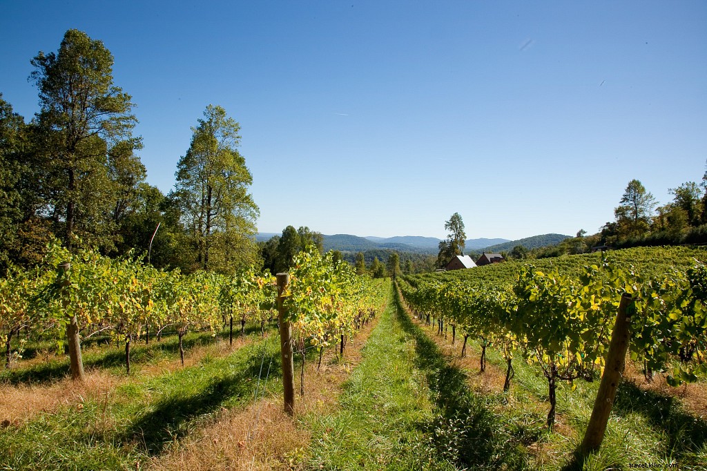 WanderLove: Scenic Northern Virginia Road Trip from Washington, D.C. to Culpeper