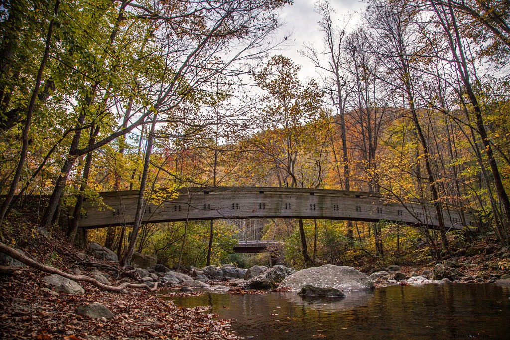 Virginia s Ultimate Payoff Hikes: Stunning Trails with Nearby Craft Breweries