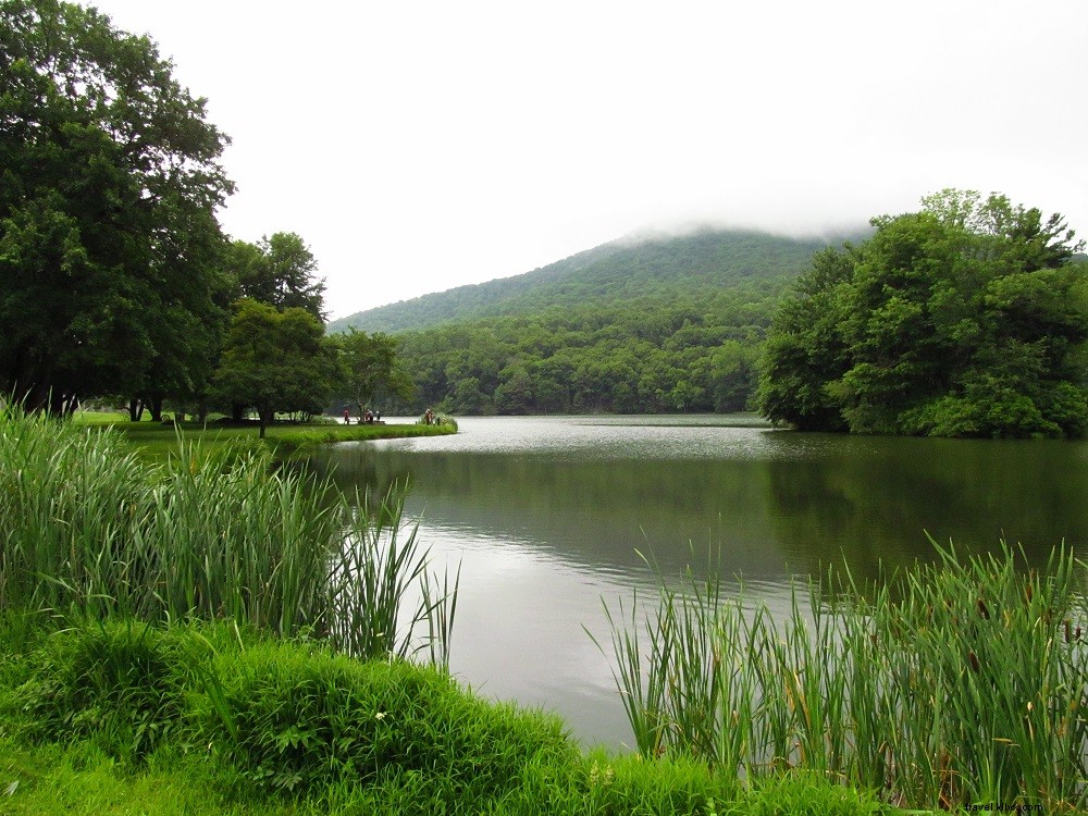 Top Blue Ridge Parkway Hikes in Virginia: Trails for Every Adventure Level