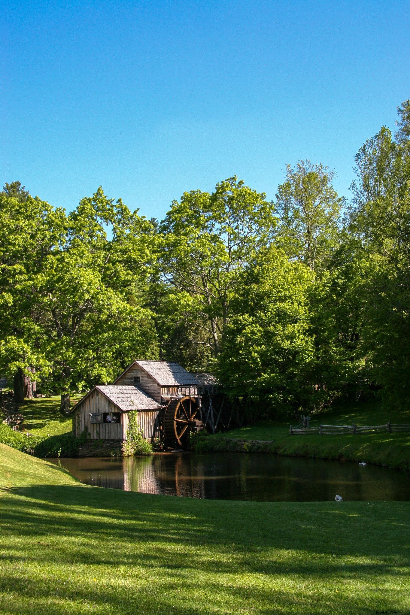 Top Blue Ridge Parkway Hikes in Virginia: Trails for Every Adventure Level