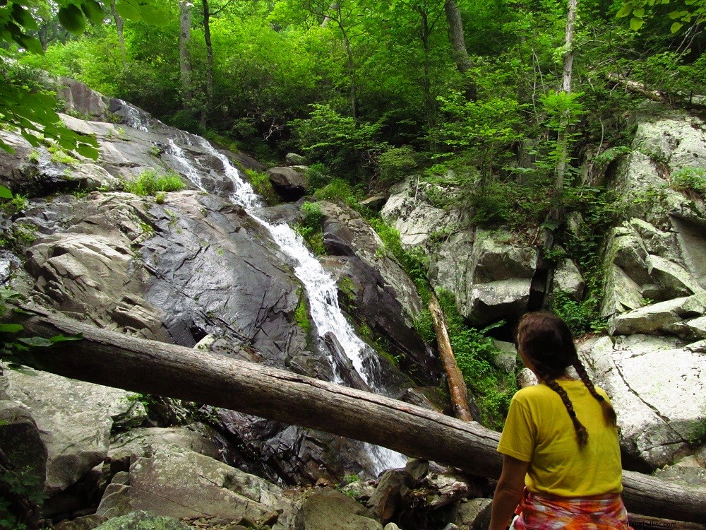Top Blue Ridge Parkway Hikes in Virginia: Trails for Every Adventure Level