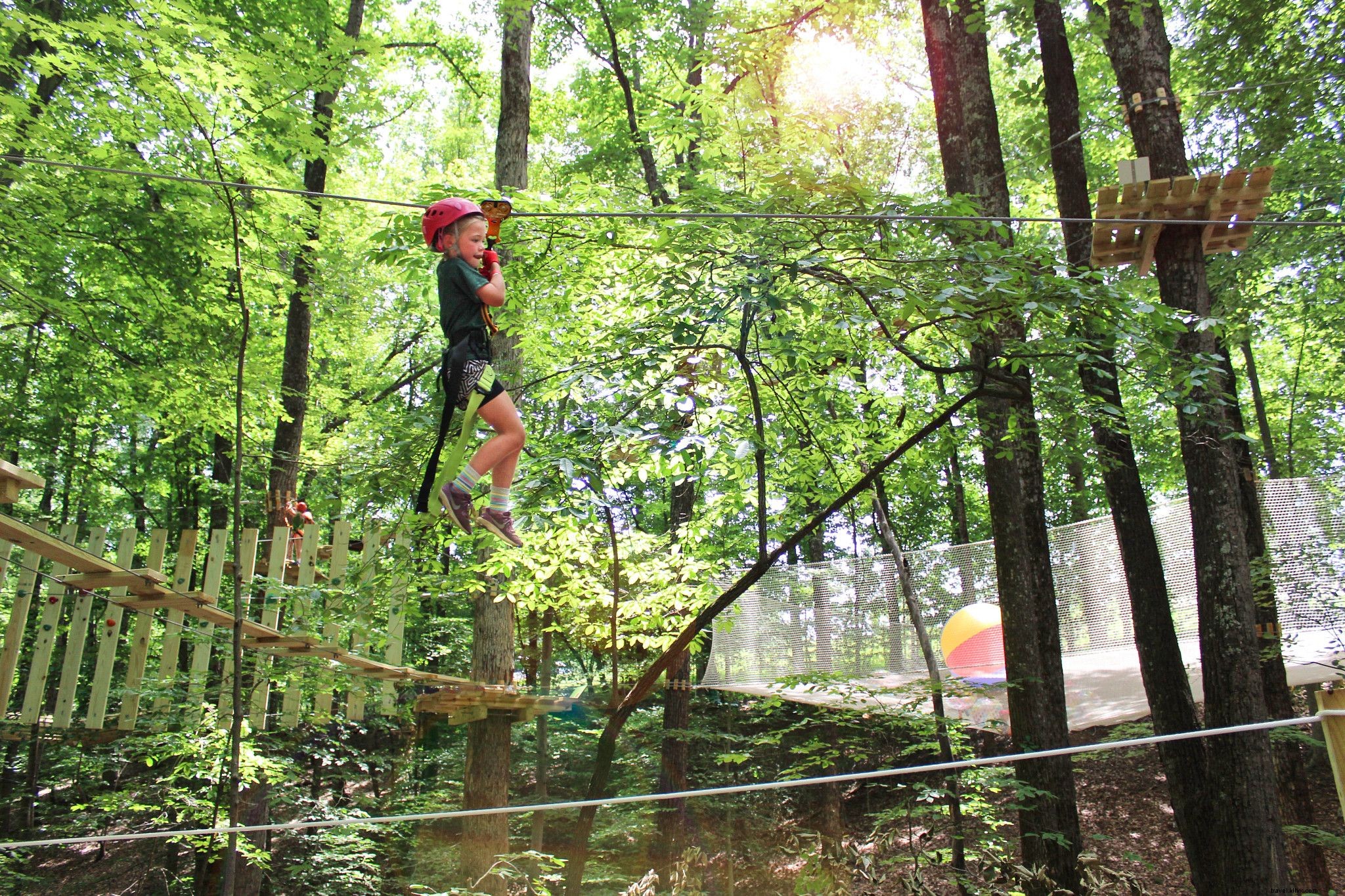 Top Blue Ridge Parkway Hikes in Virginia: Trails for Every Adventure Level