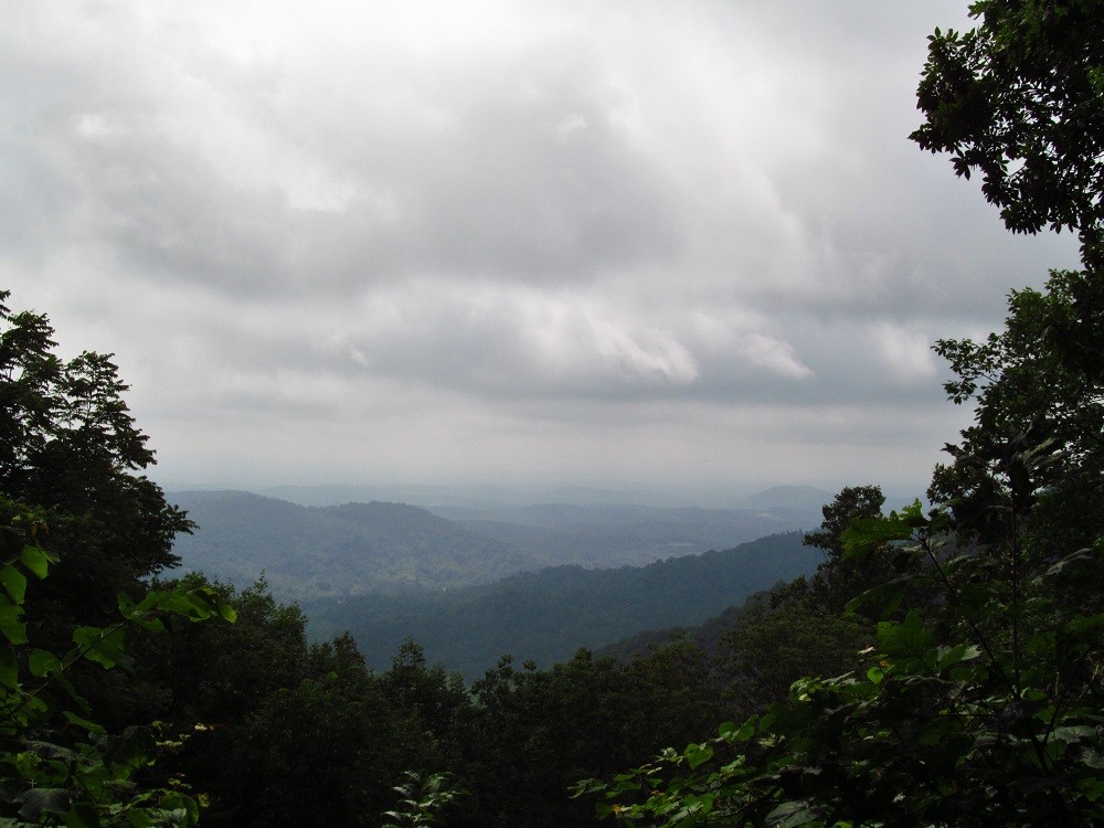 Top Blue Ridge Parkway Hikes in Virginia: Trails for Every Adventure Level