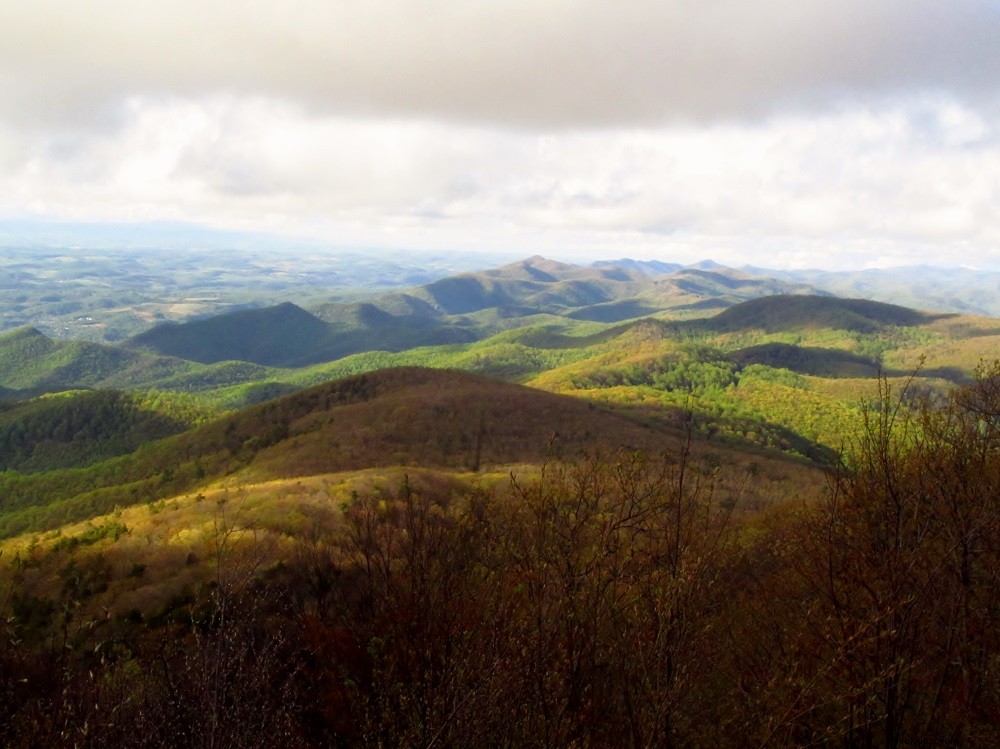 Top Blue Ridge Parkway Hikes in Virginia: Trails for Every Adventure Level