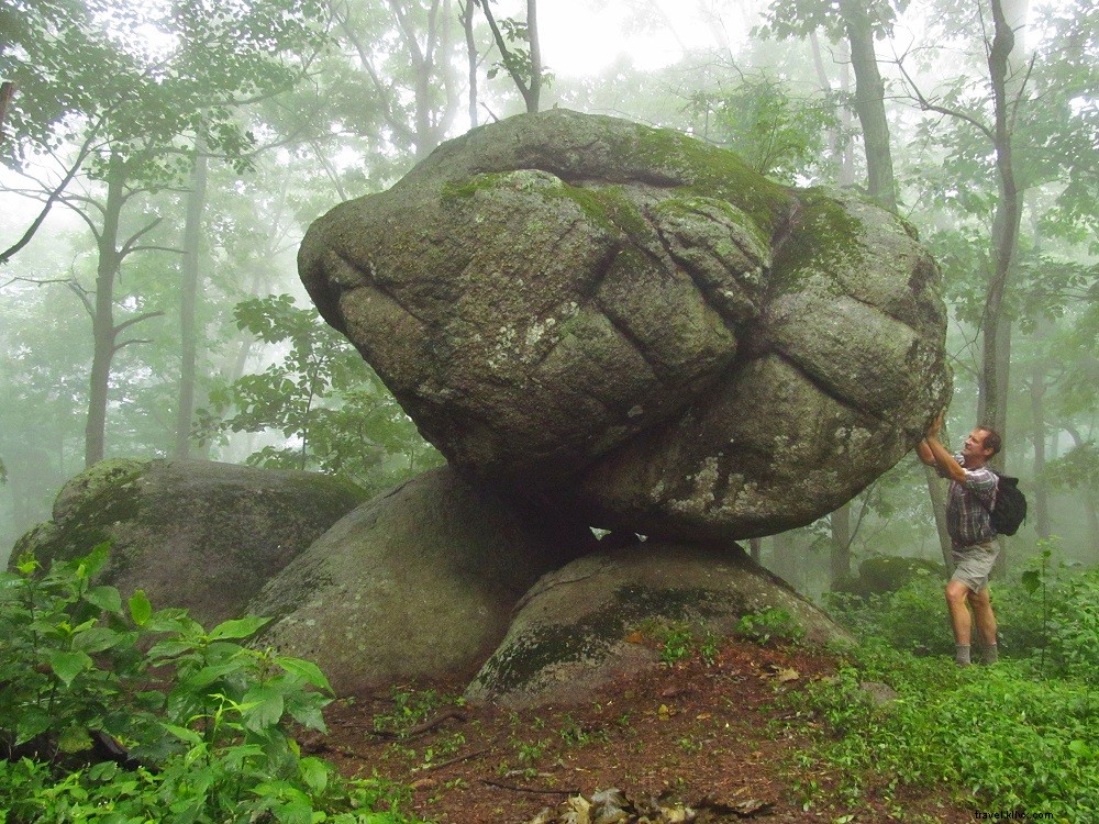 Top Blue Ridge Parkway Hikes in Virginia: Trails for Every Adventure Level