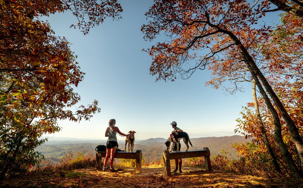 WanderLove: The Ultimate Scenic Road Trip from Roanoke to Abingdon in Southwest Virginia