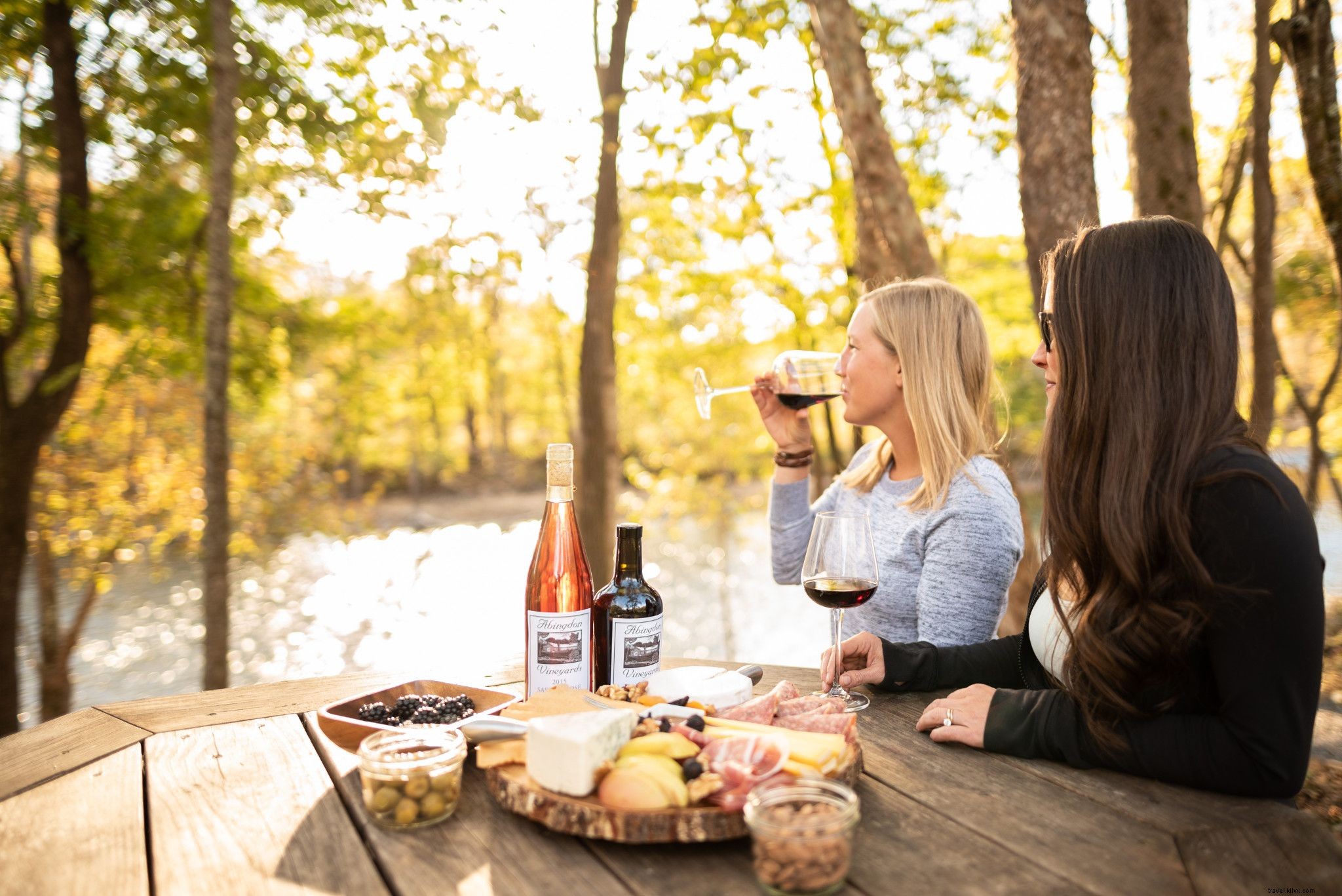 WanderLove: The Ultimate Scenic Road Trip from Roanoke to Abingdon in Southwest Virginia