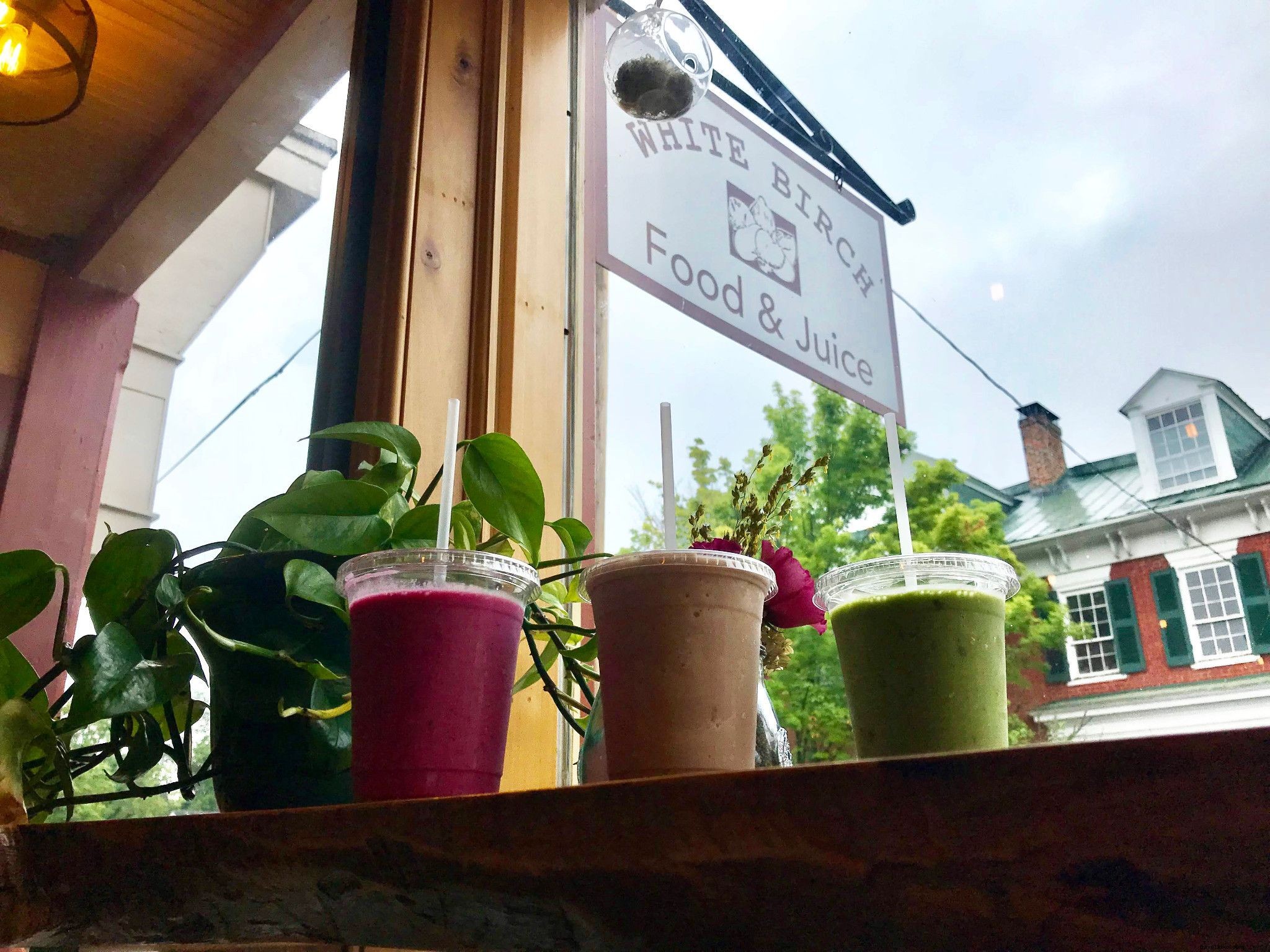 WanderLove: The Ultimate Scenic Road Trip from Roanoke to Abingdon in Southwest Virginia