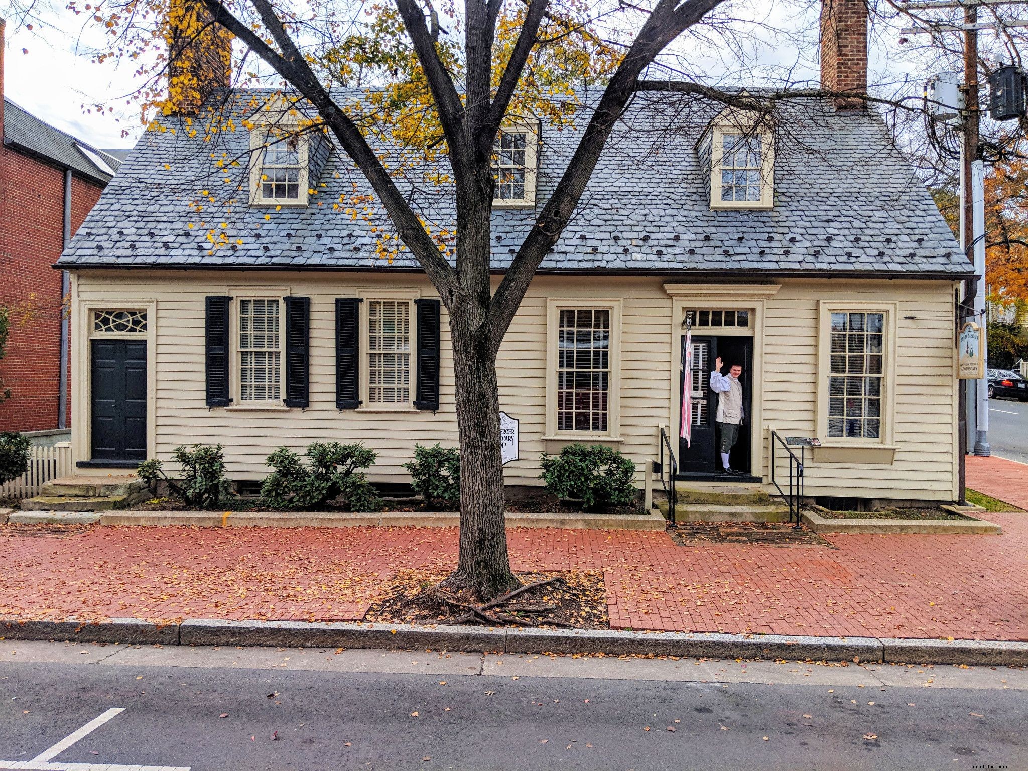 WanderLove: Scenic Road Trip Guide from Fredericksburg to Virginia s Northern Neck