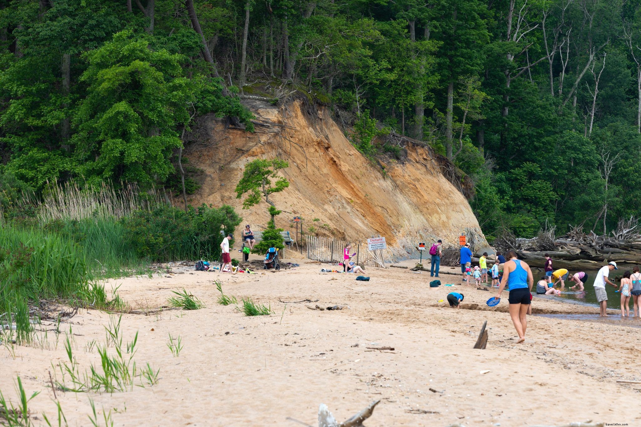 WanderLove: Scenic Road Trip Guide from Fredericksburg to Virginia s Northern Neck