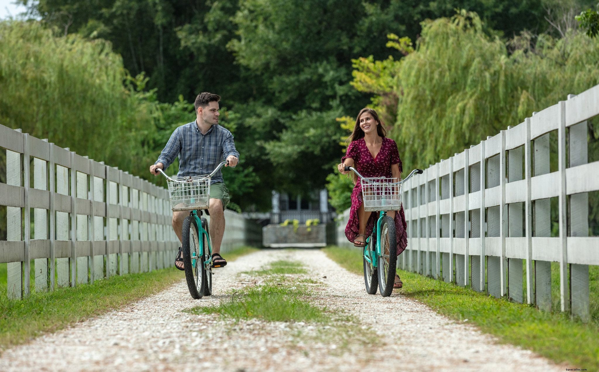 WanderLove: Scenic Road Trip Guide from Fredericksburg to Virginia s Northern Neck