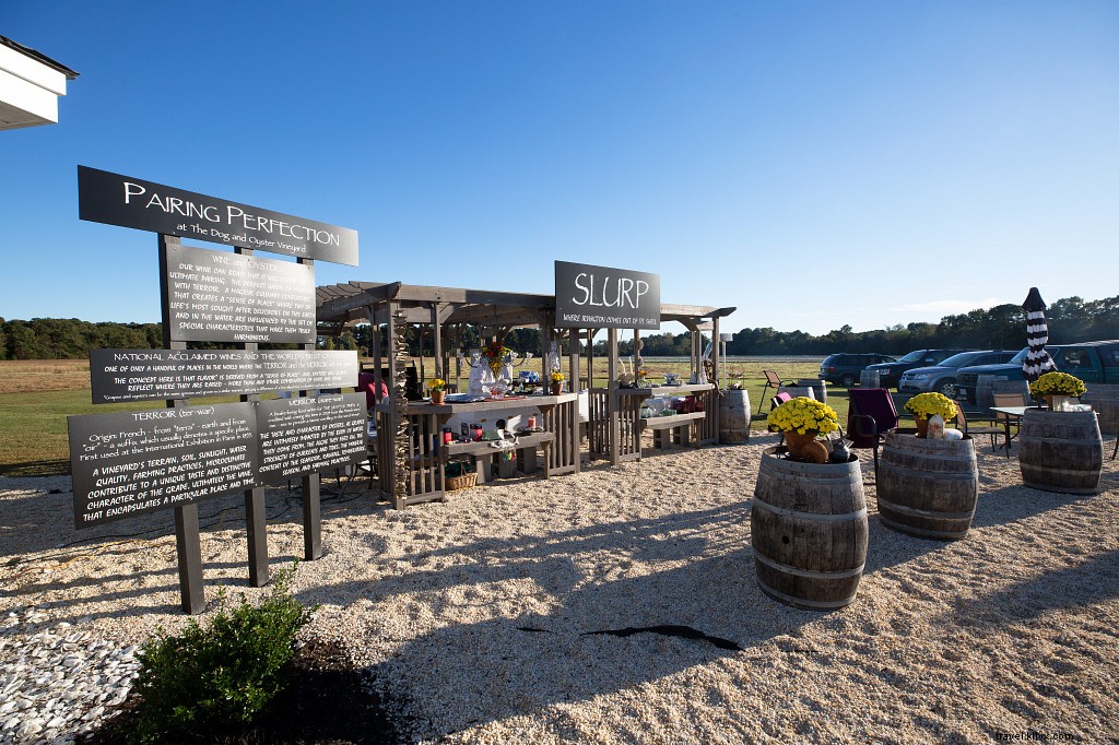 WanderLove: Scenic Road Trip Guide from Fredericksburg to Virginia s Northern Neck