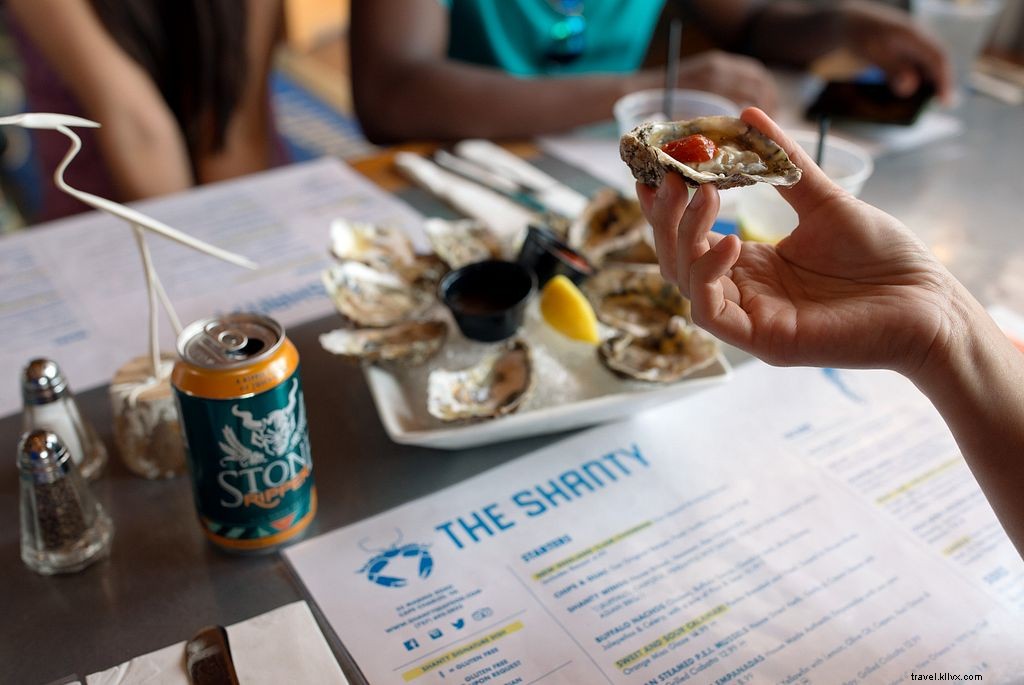 WanderLove Road Trip Guide: Norfolk to Virginia s Eastern Shore – Scenic Drives, Beaches & Seafood