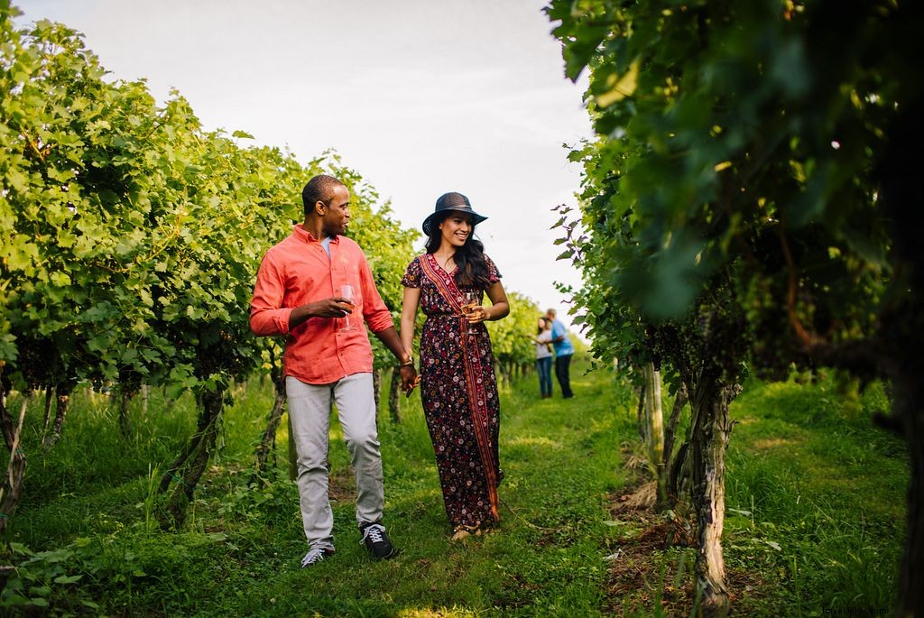 WanderLove Road Trip Guide: Norfolk to Virginia s Eastern Shore – Scenic Drives, Beaches & Seafood