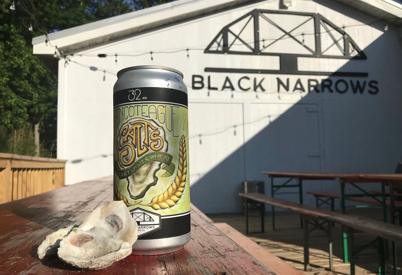 WanderLove Road Trip Guide: Norfolk to Virginia s Eastern Shore – Scenic Drives, Beaches & Seafood