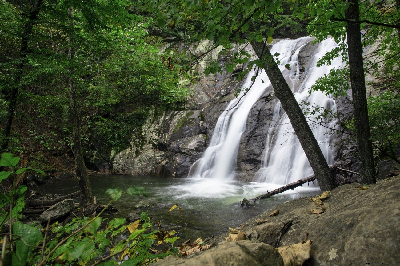 Top 10 Must-Do Hikes in Shenandoah National Park: Ultimate Guide by Expert Johnny Molloy