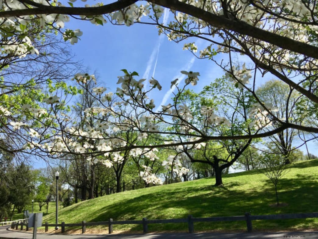 Safe, Uncrowded Outdoor Activities for Social Distancing in Virginia s Blue Ridge