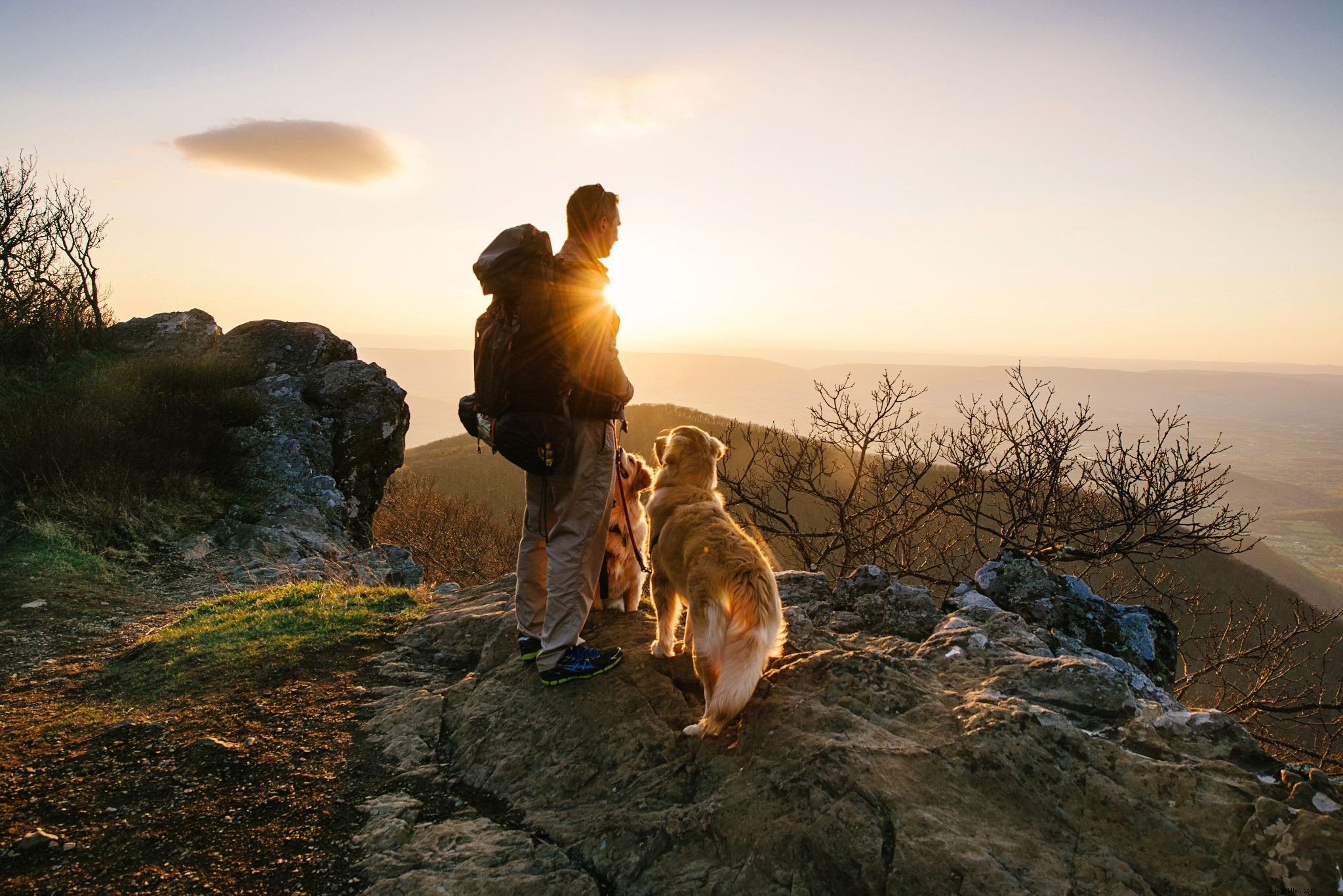 21+ Must-Visit Outdoor Destinations to Fall in Love with Virginia s Natural Beauty