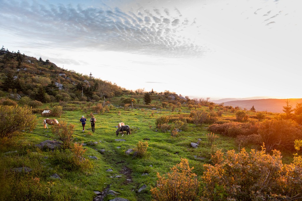 21+ Must-Visit Outdoor Destinations to Fall in Love with Virginia s Natural Beauty