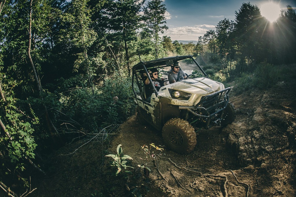 21+ Must-Visit Outdoor Destinations to Fall in Love with Virginia s Natural Beauty