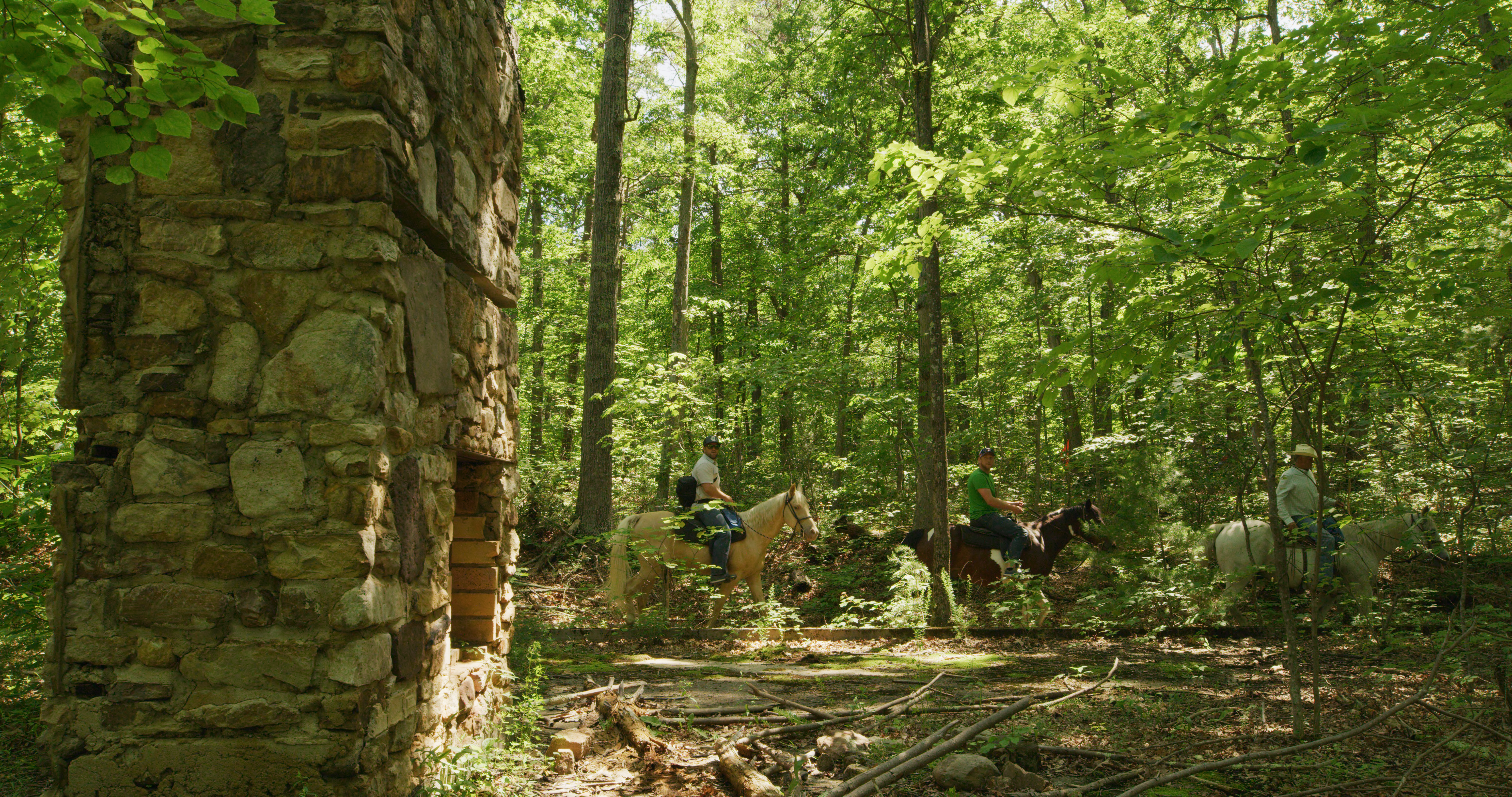 Unplug and Reconnect: 5 Screen-Free Family Vacations in Virginia