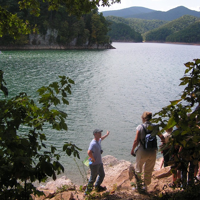 9 Epic Outdoor Vacation Ideas in Virginia for Adventure Lovers