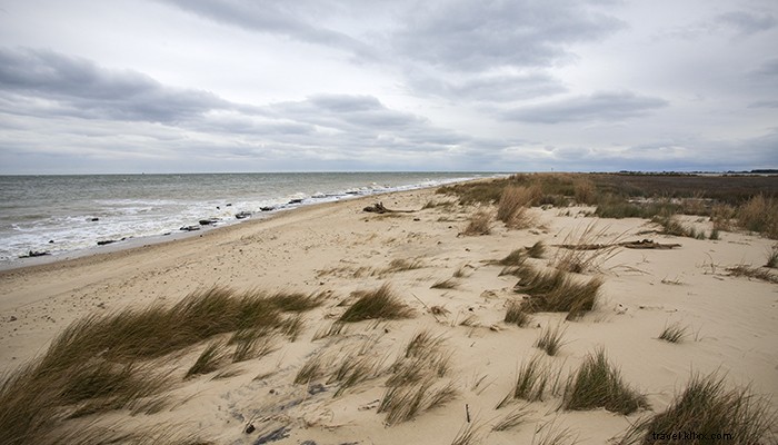 9 Epic Outdoor Vacation Ideas in Virginia for Adventure Lovers