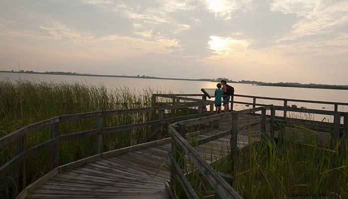 9 Epic Outdoor Vacation Ideas in Virginia for Adventure Lovers