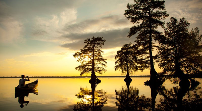 10 Breathtaking Natural Wonders of Virginia: Must-Visit Outdoor Gems