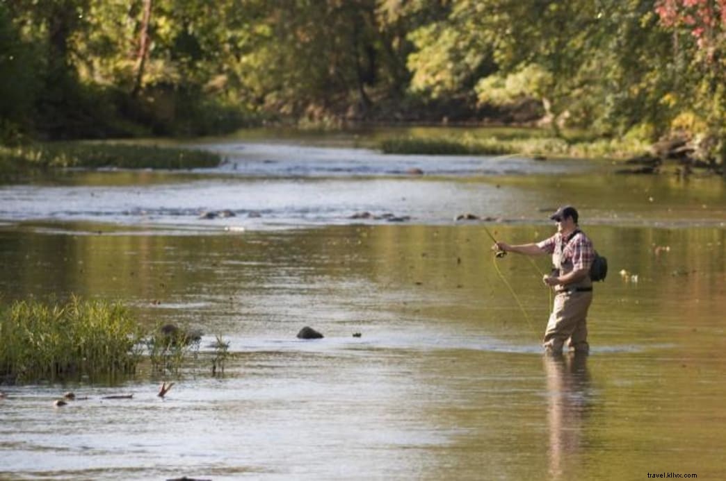 Ultimate Guide to Fishing in Virginia s Blue Ridge: Top Spots, Tips & Adventures