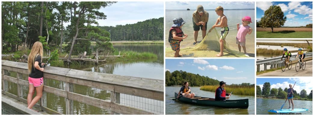 Ultimate Guide to Camping in Virginia s River Realm: Embrace Riverside Adventures