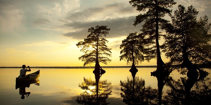 Group-Friendly Outdoor Adventures in Virginia: Top Itinerary Ideas