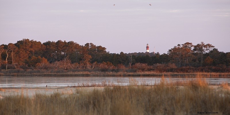 Group-Friendly Outdoor Adventures in Virginia: Top Itinerary Ideas