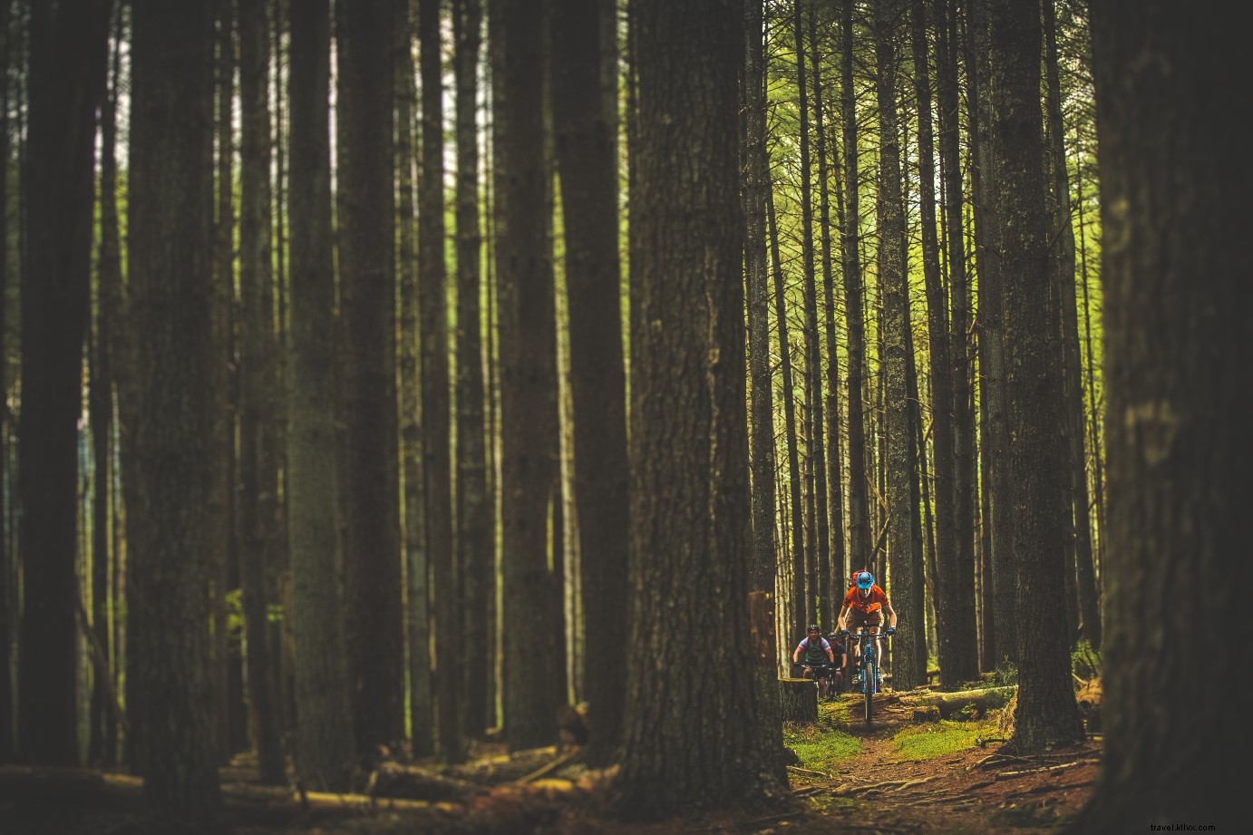 Ultimate Guys  Getaways: The Best Mancations in Virginia