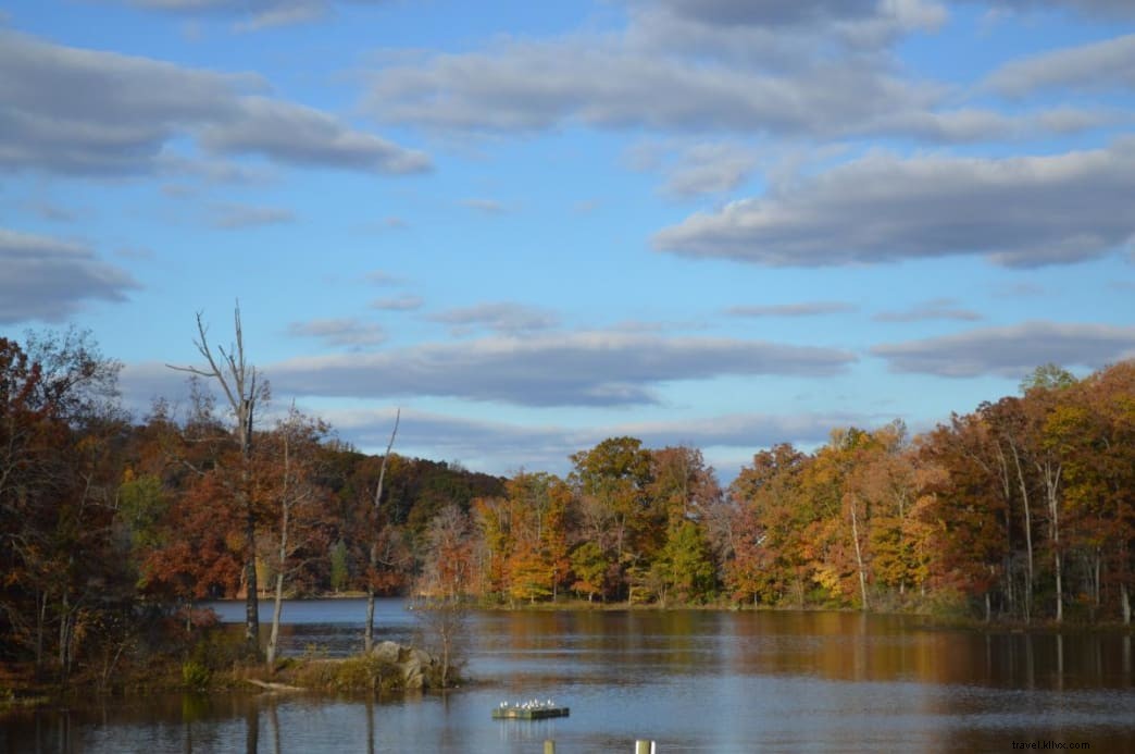 Insider s Guide to the Best Fishing Spots in Prince William County, VA