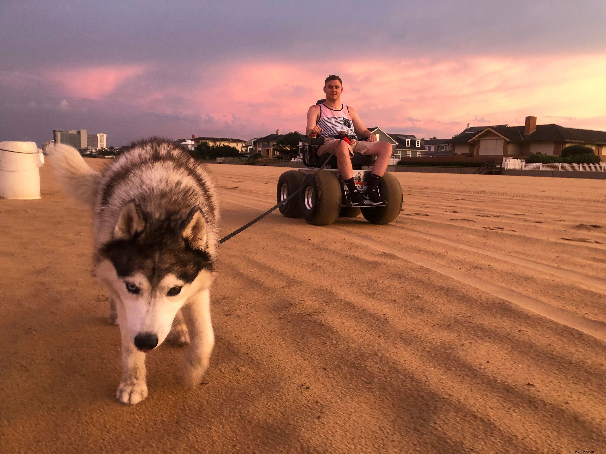 Ultimate Guide to Virginia s Pet-Friendly Beaches: Rules, Top Spots & Essential Tips