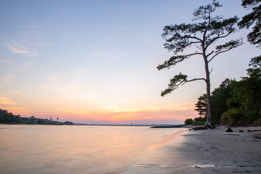 Ultimate Guide to Virginia s Pet-Friendly Beaches: Rules, Top Spots & Essential Tips