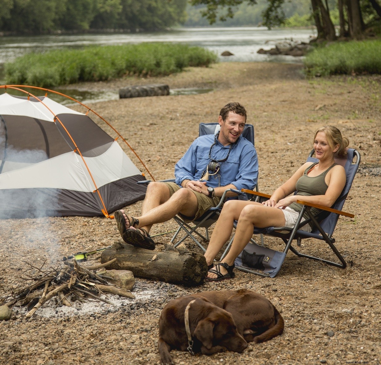 Ultimate Guide to Virginia s Pet-Friendly Beaches: Rules, Top Spots & Essential Tips