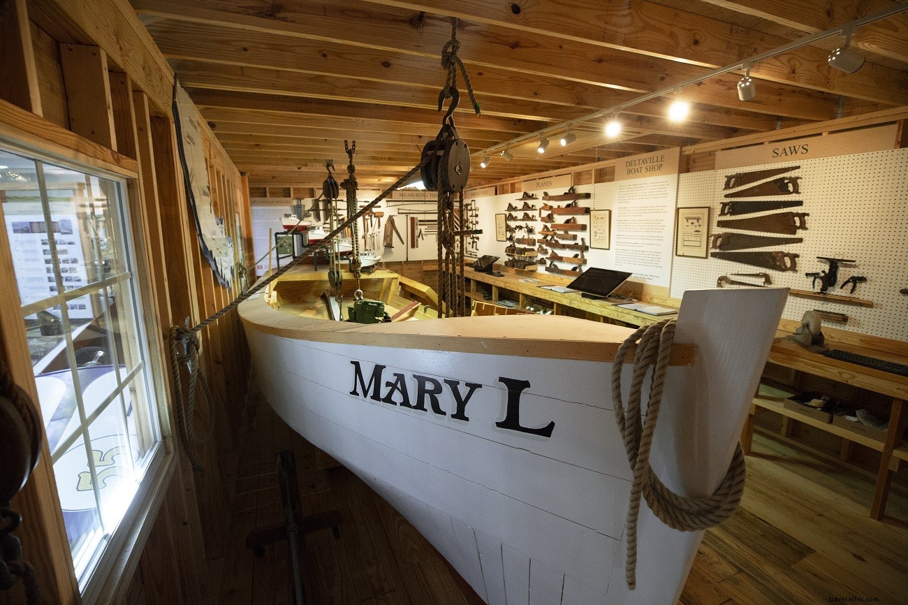 Ultimate Guide to Virginia s Pet-Friendly Beaches: Rules, Top Spots & Essential Tips