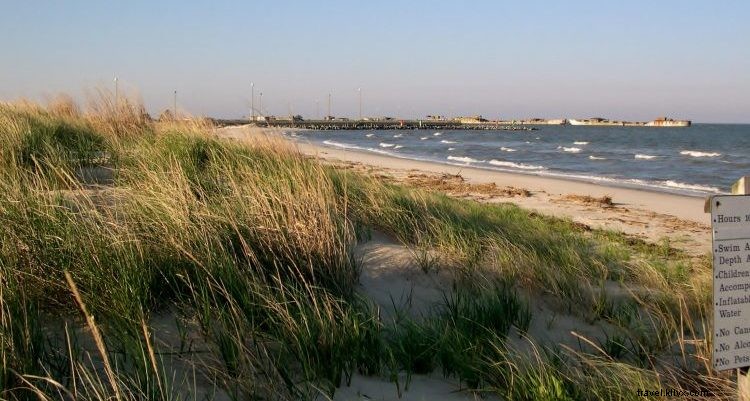 Ultimate Guide to Virginia s Pet-Friendly Beaches: Rules, Top Spots & Essential Tips