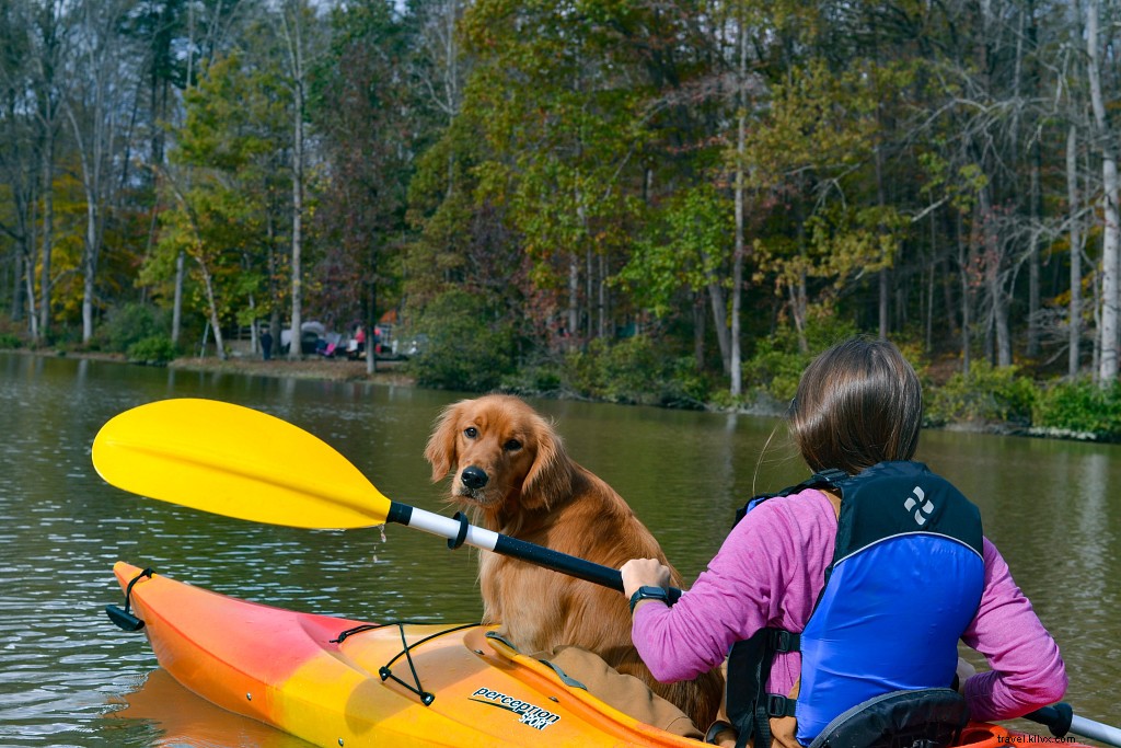 Ultimate Guide to Virginia s Pet-Friendly Beaches: Rules, Top Spots & Essential Tips