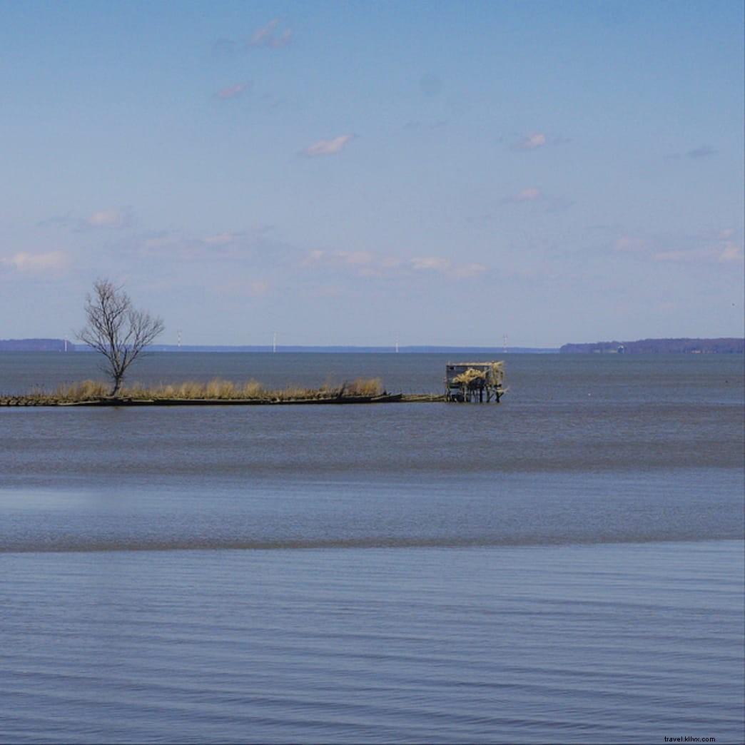 Discover 5 Exceptional Primitive Campgrounds in Virginia State Parks